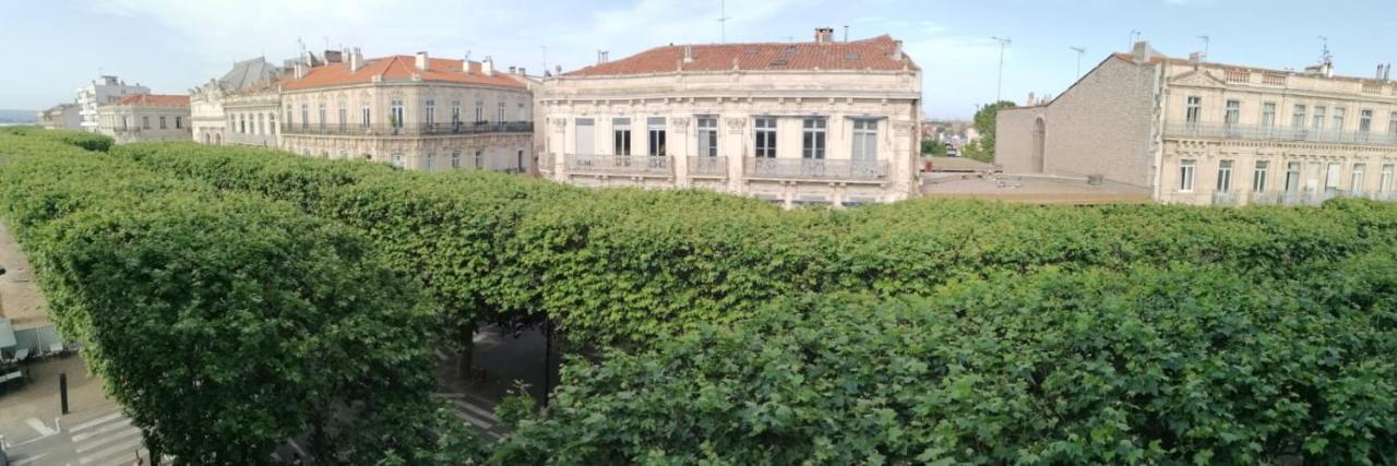 Studio Le Voltaire Sublime & Cosy Proche Gare De Sète Zewnętrze zdjęcie